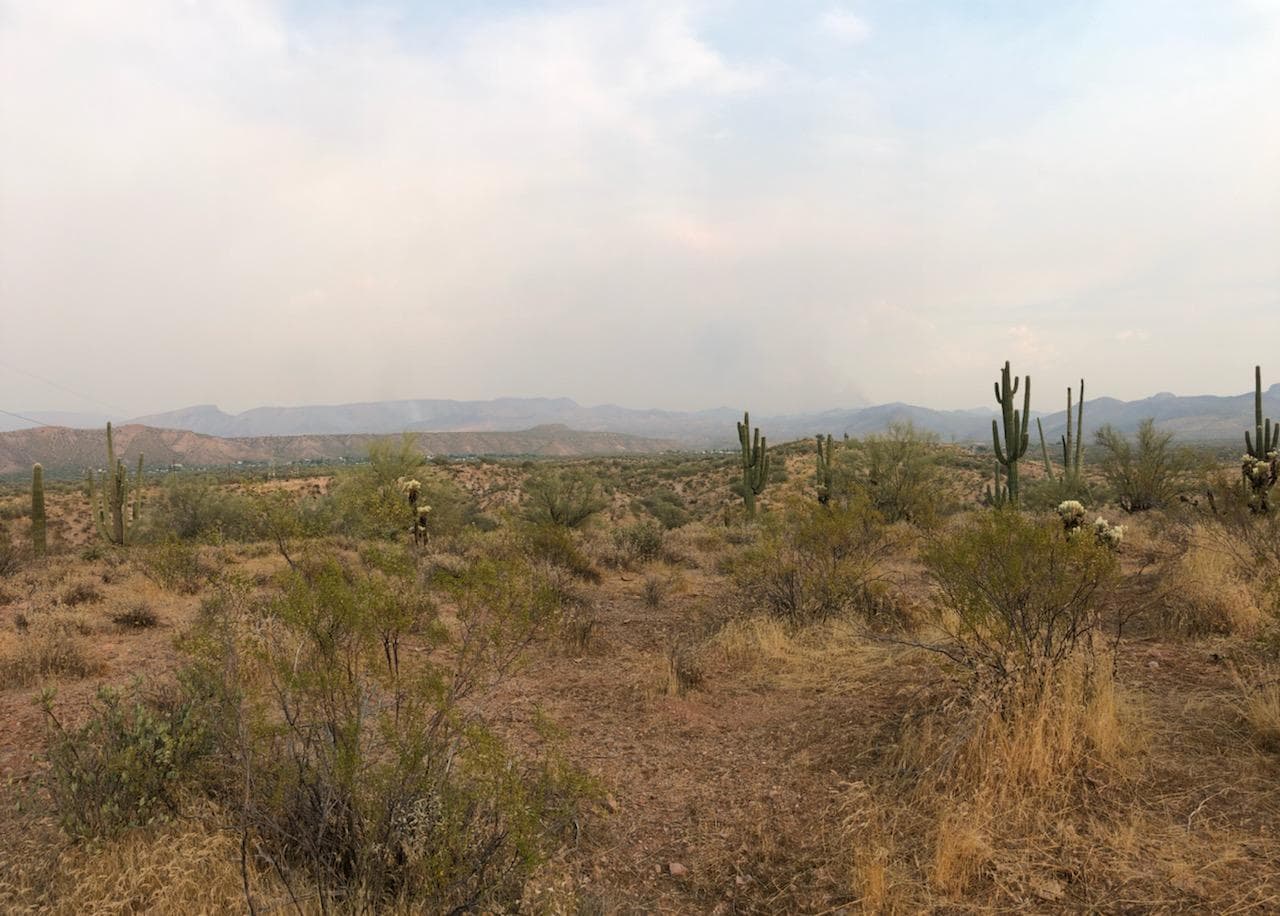 “El humo del incendio Salt que arde cerca del lago Roosevelt amenaza las líneas eléctricas que llevan energía al valle. Para asegurarnos de que haya suficiente energía, 
<b>pedimos a nuestros clientes que reduzcan su consumo de electricidad de 3 pm a 9 pm</b>”, 
<a href="https://twitter.com/SRPconnect/status/1296210674519949312" target="_blank">pidió la compañía eléctrica SRP</a>. 
<br>