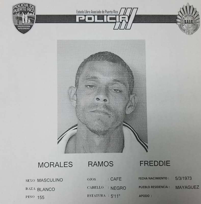 Policía busca a deambulante que le robó a su patrono en Mayagüez