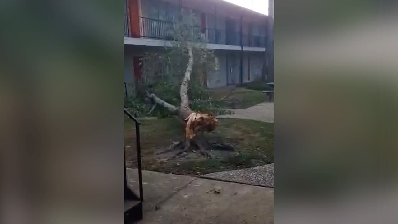 Emanuel Monjarrez Carcamo captó esta fotografía en 2703 Teague Rd, Houston, TX 77080.