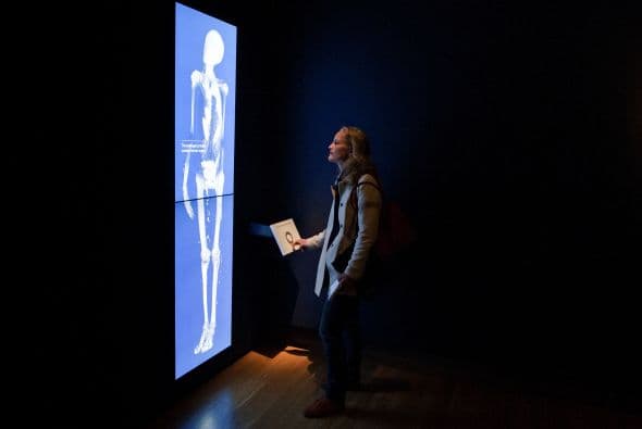 Ahora, gracias a las técnicas de visualización avanzadas, el museo nos muestra que compartimos más con los egipcios antiguos de lo que podríamos esperar, incluyendo altos niveles de colesterol y el atroz dolor de muelas.