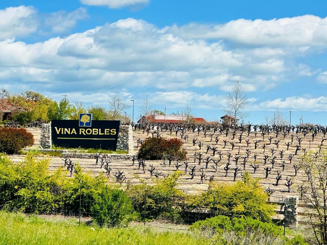 La ruta estatal 46 de California se extiende al este y al oeste de Paso Robles, ahí podrá encontrar infinidades de viñedos en ambos lados de la carretera. Algunos de ellos presentan vistas increíbles hacia las montañas, otras ofrecen arte, pero la mayoría proporciona un ambiente encantador y de relajación.