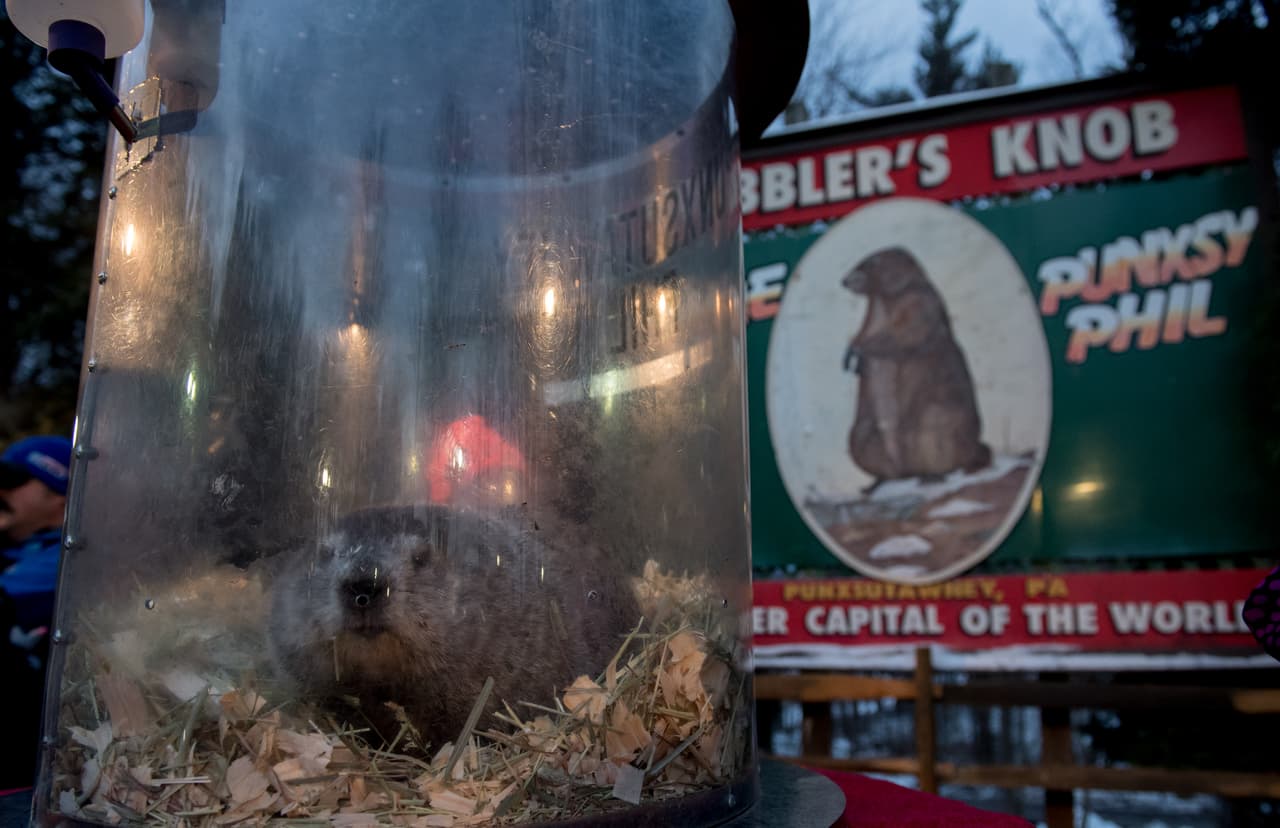 La transmisión en vivo desde Gobbler's Knob, una pequeña colina en las afueras de Punxsutawney, a unas 65 millas (105 kilómetros) al noreste de Pittsburgh, es posible gracias a Holi-stay PA de la Oficina de Turismo de Pensilvania. El evento allí, siempre el 2 de febrero, se remonta a 1887.
<br>
