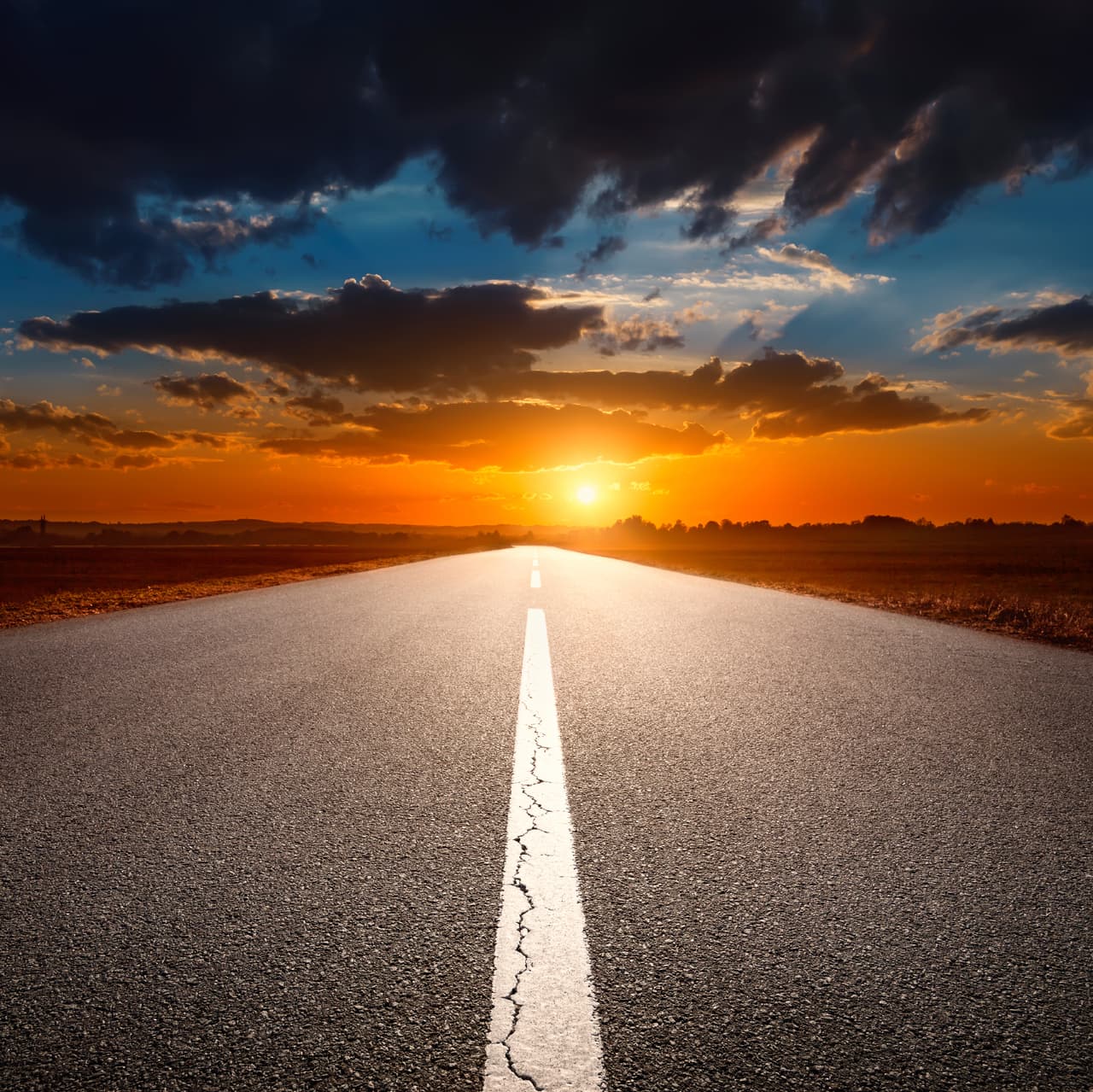 Es el tiempo de los sueños, las corazonadas y premoniciones que te indicarán claramente qué camino seguir, tanto en una relación sentimental, como en una cuestión laboral o económica que te tenía preocupado.