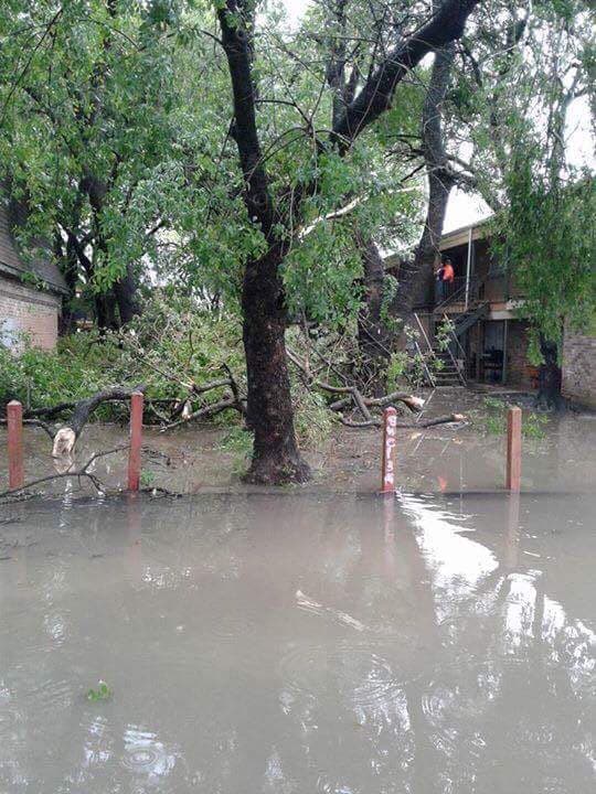 Destrozos causados por el mal tiempo en Houston.