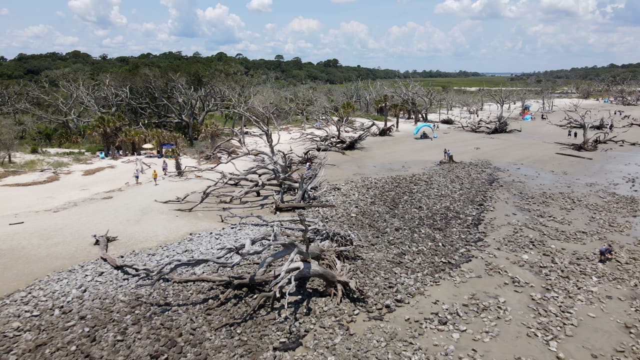 También hay disponible una pequeña área de estacionamiento pavimentada cerca del puente del sendero para bicicletas en N. Beachview Drive. Todo el estacionamiento es gratuito, pero tenga en cuenta que hay una tarifa diaria de $ 8 para acceder a Jekyll Island.