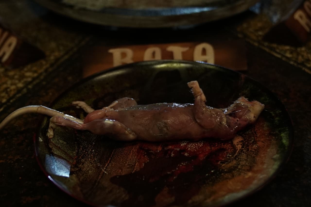 Rata cocida en sangre es otro de los platillos que han probado.