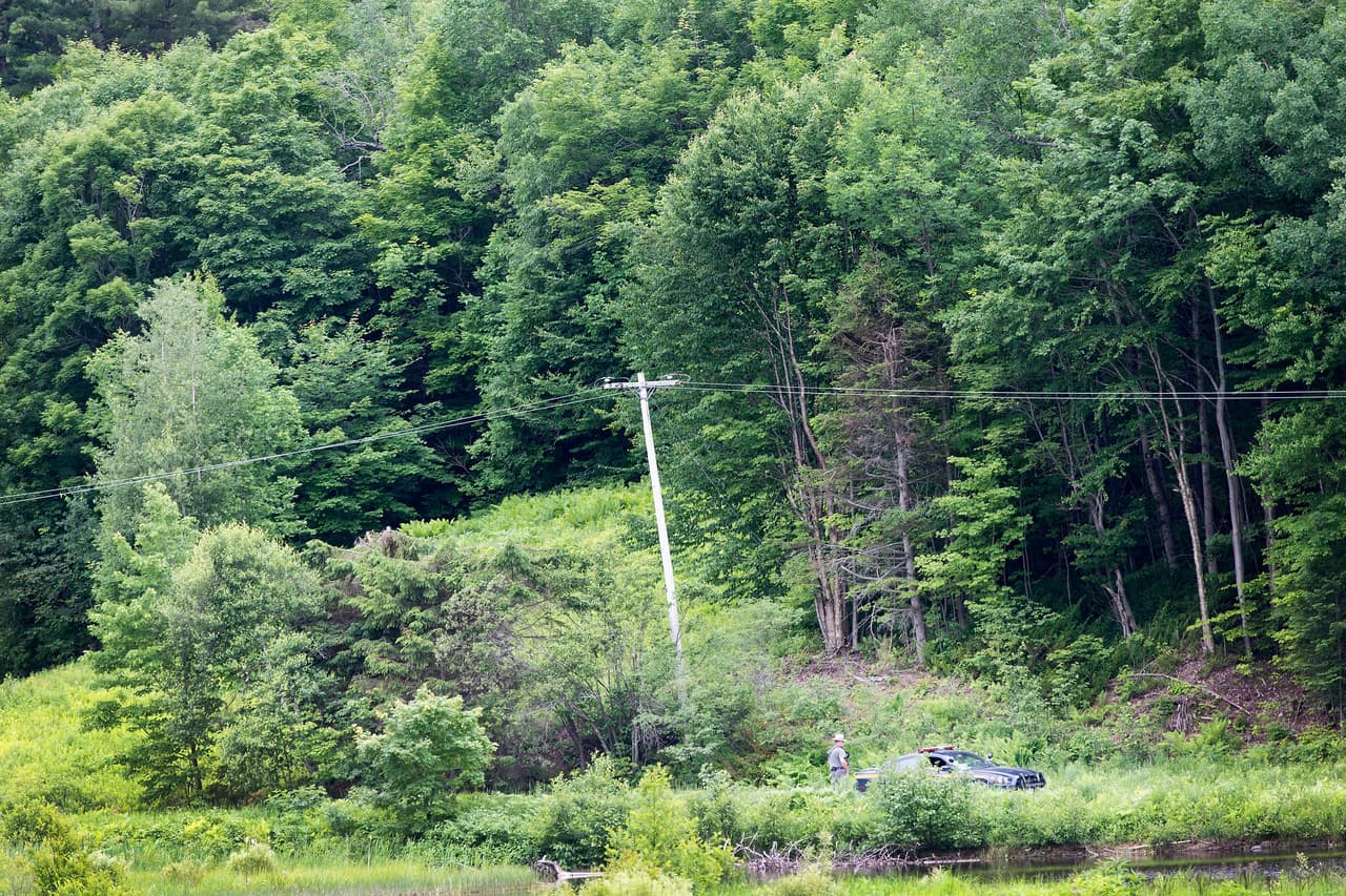 Anciano sobrevivió bebiendo agua de lluvia en un bosque de Nueva York