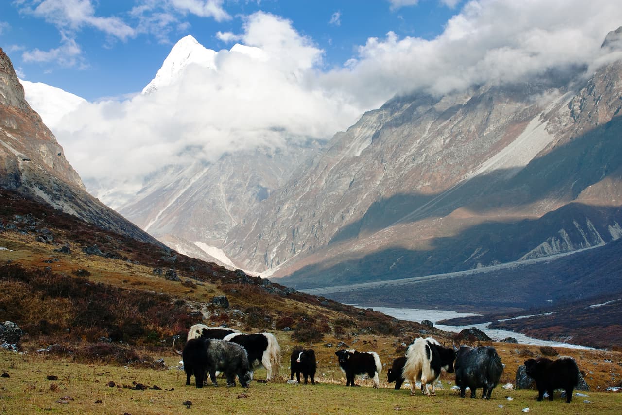 El valle de Langtang, en Nepal.