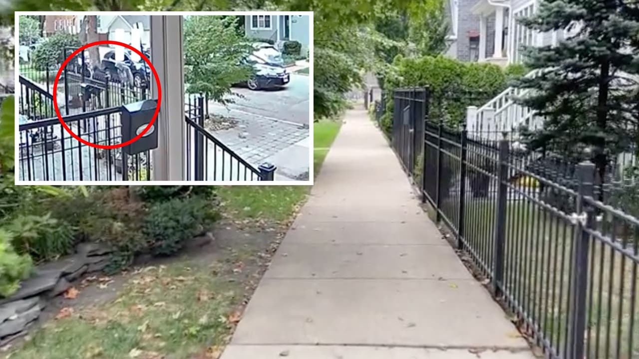 Captan asalto en plena luz del día en calles de Lakeview