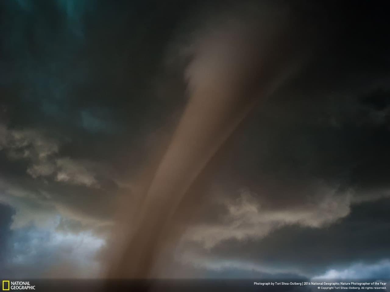 Un tornado arrasando con casas en el estado de Colorado, Estados Unidos, fue el segundo premio en la categoría de acción. Su autor, Tori Shea-Ostberg, cuenta que después de que pasó corrieron para verificar si todos los que estuvieron en el paso del fenómeno estaban a salvo. "Felizmente todos estaban bien".