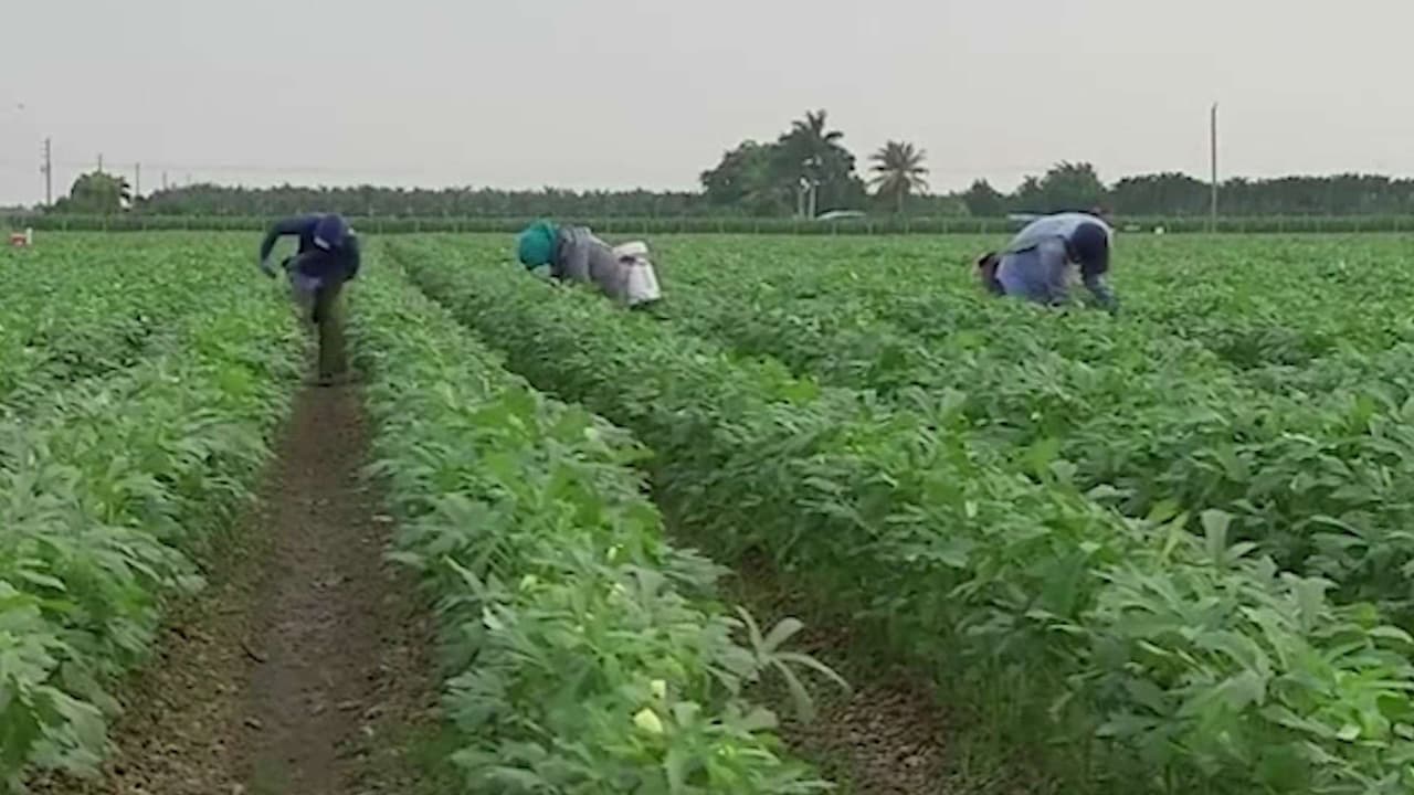 Trabajadores de Carolina del Norte exigen protección laboral y mayor seguridad económica