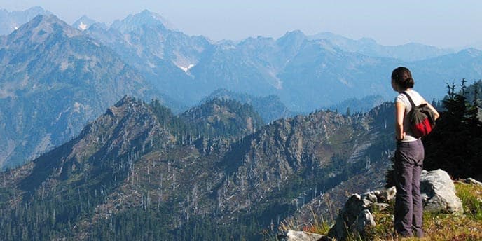 El corazón del 
<b>Parque Olympic</b> es su vida silvestre: un santuario primaveral tanto para las personas como para las criaturas silvestres. Aquí se encuentran playas del Océano Pacífico, valles de bosque pluvial, picos coronados con glaciares y una impresionante variedad de plantas y animales. Las carreteras ofrecen acceso a las partes exteriores del parque. 
<a href="https://www.nps.gov/olym/espanol/index.htm"><u>https://www.nps.gov/olym/espanol/index.htm</u></a>