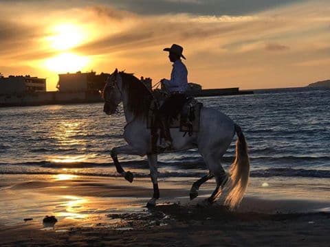 Y Edén Muñoz no se queda atrás, aquí aparece con su caballo 'El Revolucionario'.