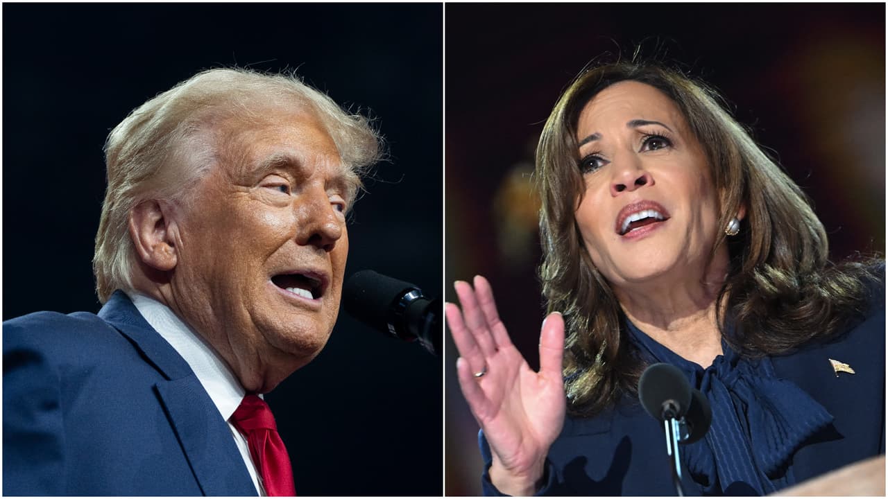 El voto latino: ¿cuántos votarían por Kamala Harris y cuántos por Donald Trump?