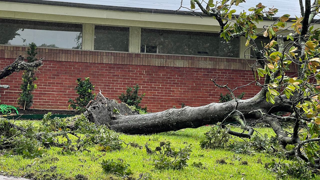 Miles de residentes quedaron sin luz y la ciudad comunicó que podrían tardar hasta tres días en restablecer todo el servicio eléctrico.