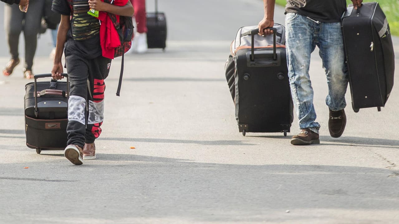 ¿Acabas de llegar a la Ciudad de Nueva York y no sabes dónde buscar apoyos? Revisa esta guía