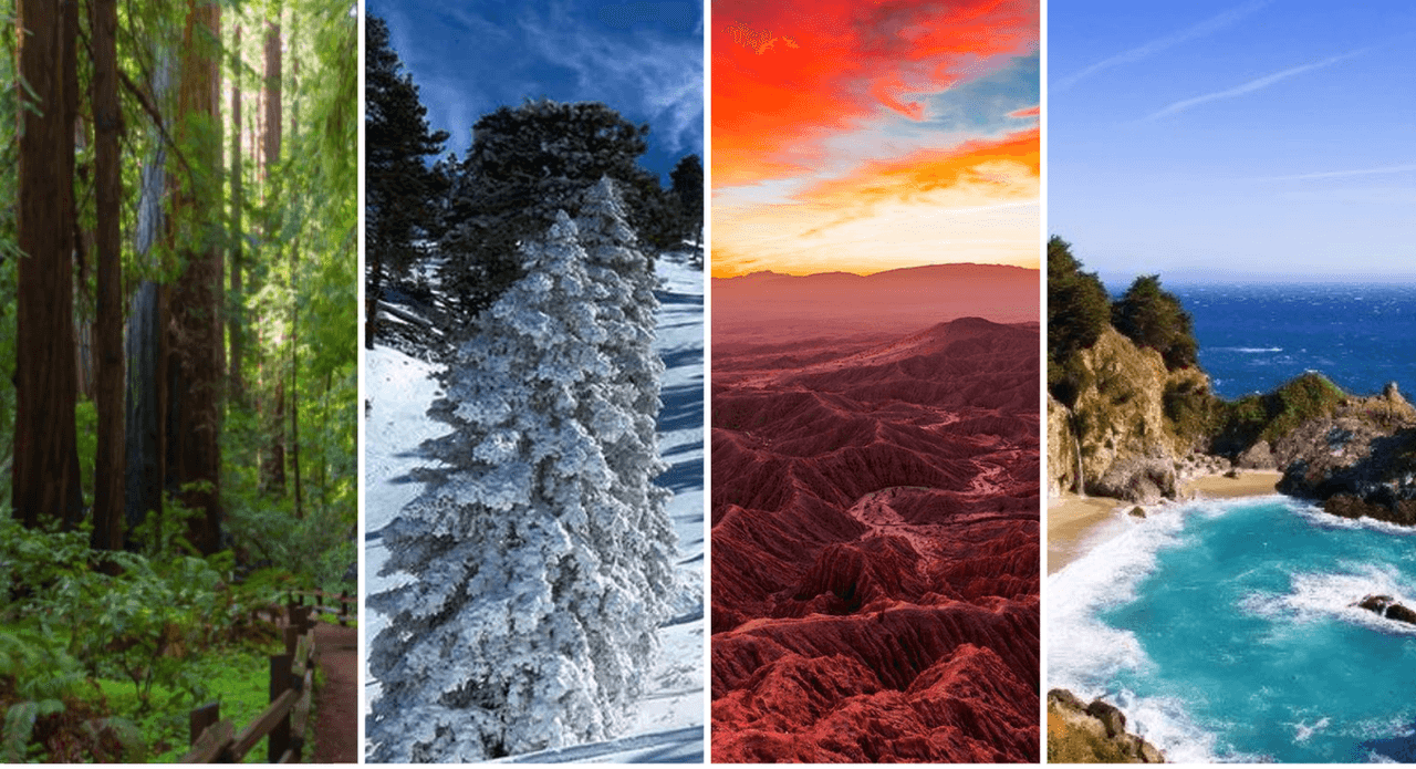 California es uno de estos territorios con las reservas naturales más hermosas de nuestro planeta. Celebrar a la Tierra es celebrar las bellezas naturales de nuestro estado. Playas, montañas, bosques, desiertos y sabanas floridas forman parte del follaje para los californianos. Las maravillas naturales que nos rodean son demasiadas y aun cuando no podemos compartirlas todas, a continuación te listamos nuestras favoritas y te invitamos a que compartas tus fotos para celebrar virtualmente el cumpleaños de nuestra gran madre.