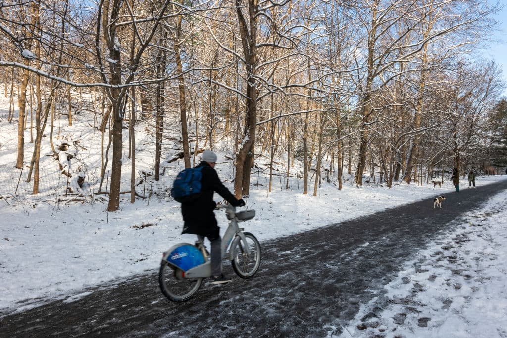 No hay vías afectadas en la ciudad de Nueva York por la caída de nieve, pero 
<b>quienes esperan regalos</b> tienen que estar 
<b><a href="https://www.univision.com/local/nueva-york-wxtv/tiempo" target="_blank">vigilantes a las condiciones del tiempo</a></b>. Es la única forma de saber si 
<b>una nevada u otro sistema impacta la llegada</b> hasta su puerta... 
<b><a href="https://www.univision.com/local/nueva-york-wxtv/santacon-2022-reunen-miles-personas-disfrazadas-santa-claus-manhattan-nueva-york" target="_blank">o chimenea</a></b> 😉.