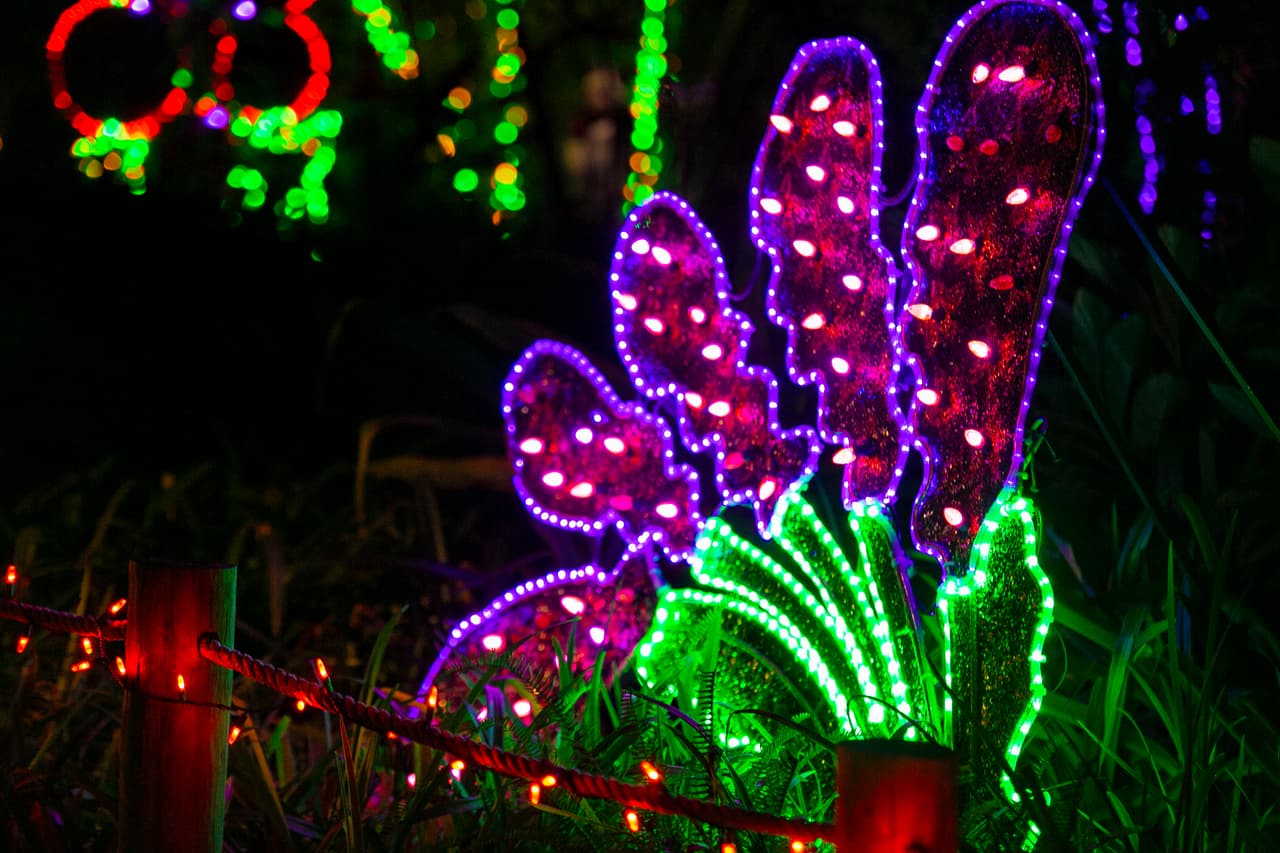 El "Zoo Lights" es una tradición de diciembre en el Zoológico de Houston.