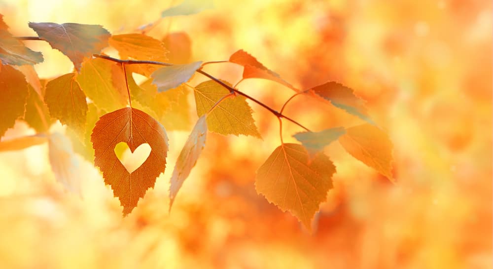 Aunque todos los signos tendrán sus predicciones amorosas (que puedes revisar en tu horóscopo diario, junto a las de dinero, trabajo y salud), los siguientes signos en particular, en ningún orden de importancia, deben prestar atención especial a lo que dice su corazón esta temporada.