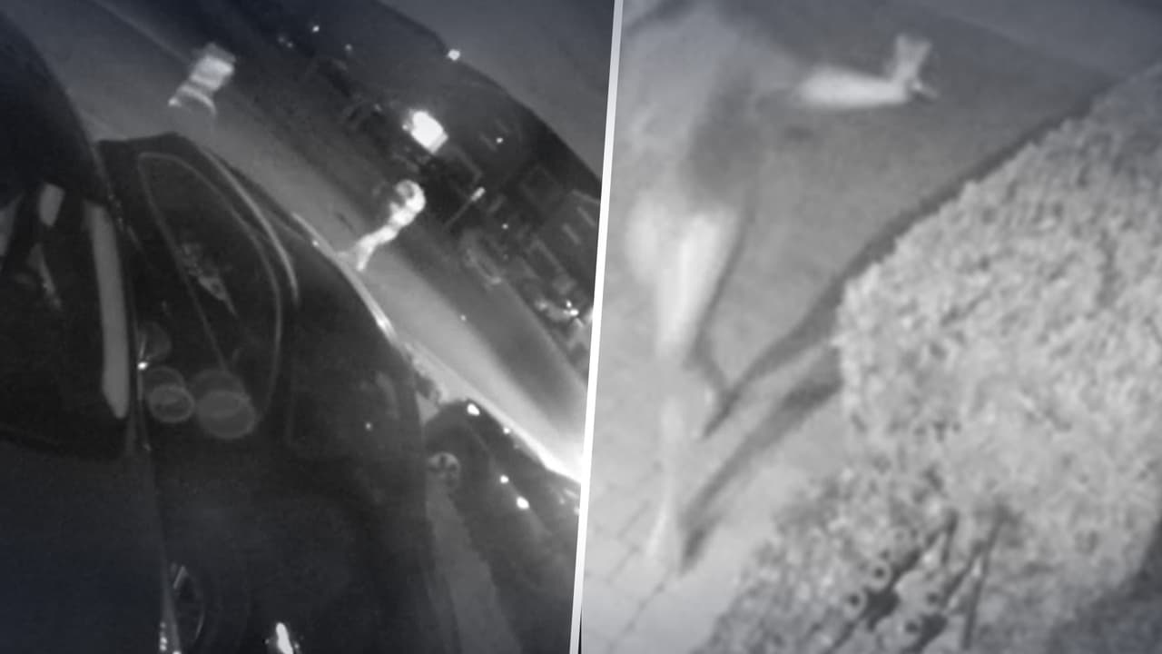 Revelan video del momento del asesinato del jugador de la NBA Adreian Payne