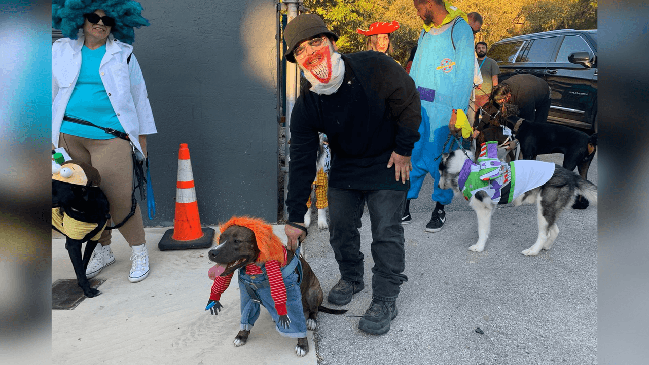 Chucky, en forma de perrito, también llegó al concurso.