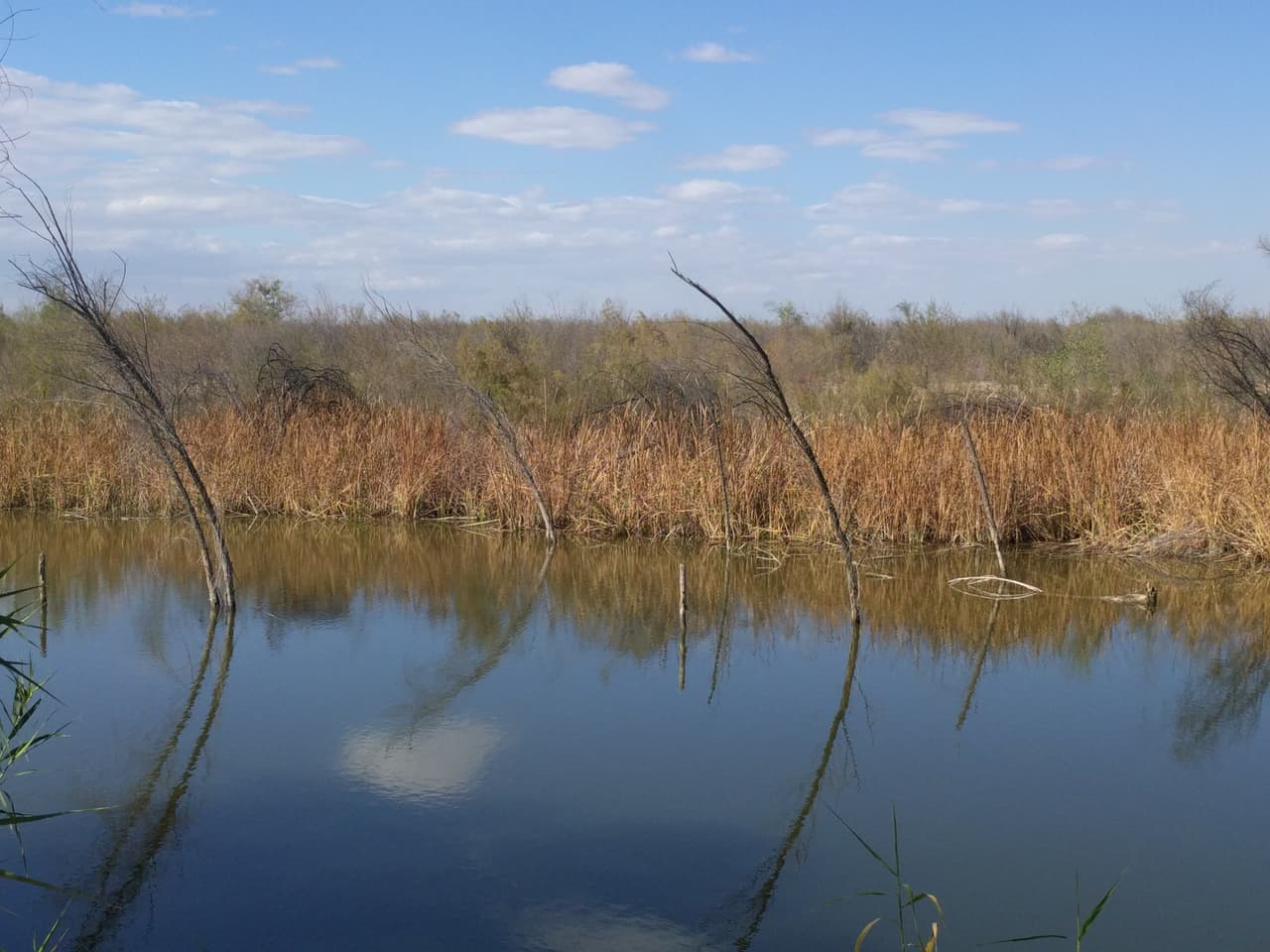 Su iniciativa busca devolver la vida a los sitios que la perdieron y ofrecer un espacio de refugio a aves y mamíferos terrestres. Hoy este sitio es un espacio de estudio de la vida natural para los jóvenes mexicanos de la zona.