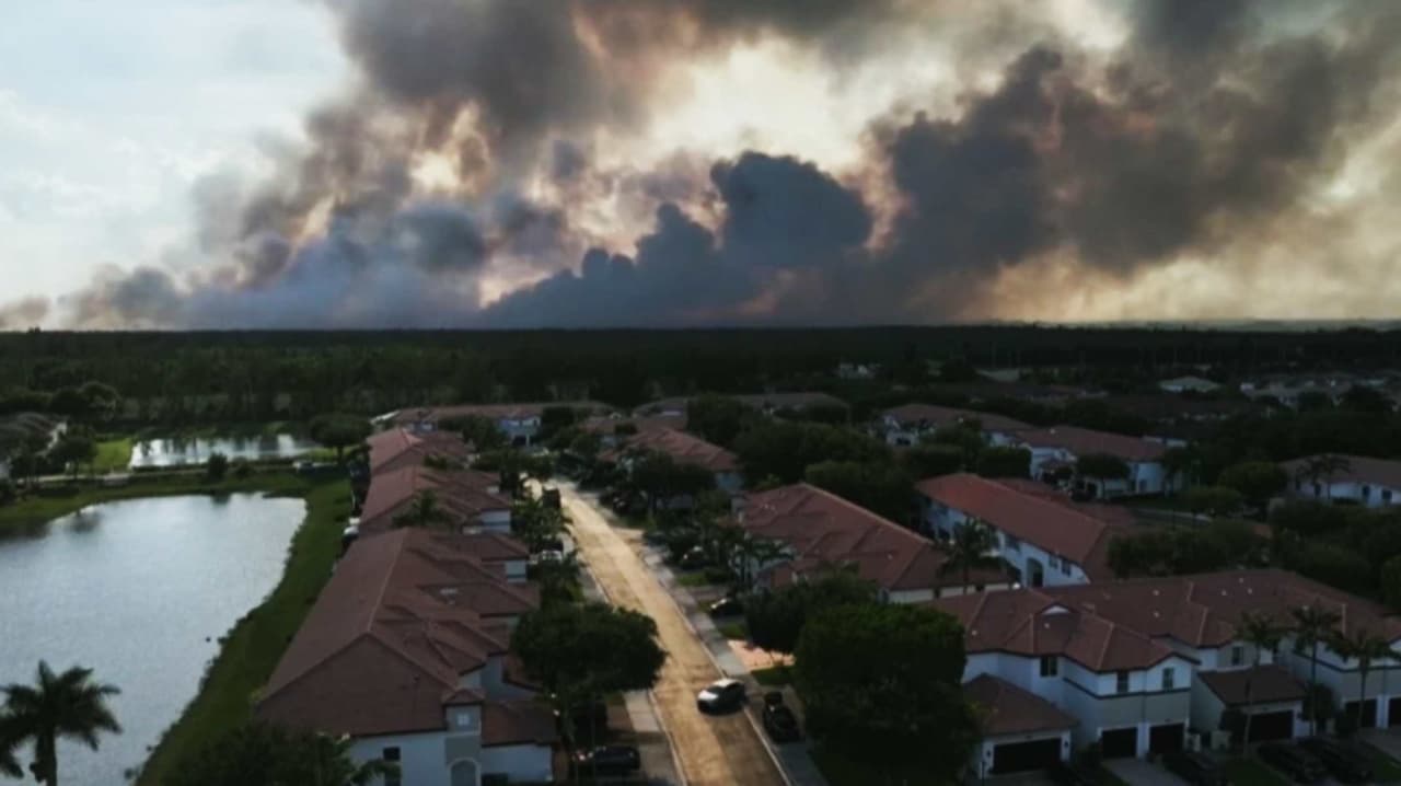 ¿Por qué se han propagado los incendios forestales en Miami-Dade?