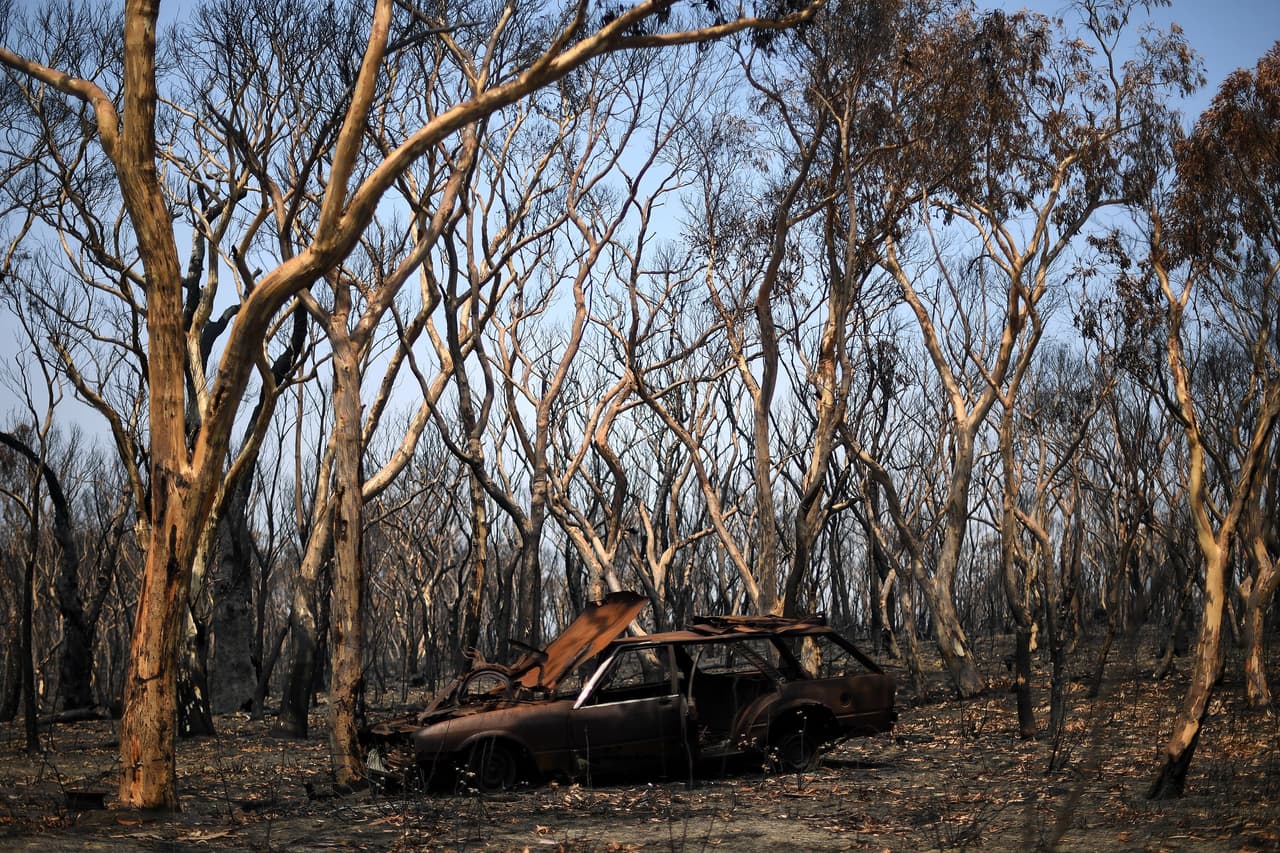 Los incendios forestales masivos en el sureste de Australia tienen aún un "largo camino por recorrer", advirtieron las autoridades, incluso cuando las condiciones climáticas llevaron algo de alivio para los bomberos y comunidades agotadas este sábado. Árboles carbonizados en Lithgow, Nueva Gales del Sur, Australia, este 11 de enero.