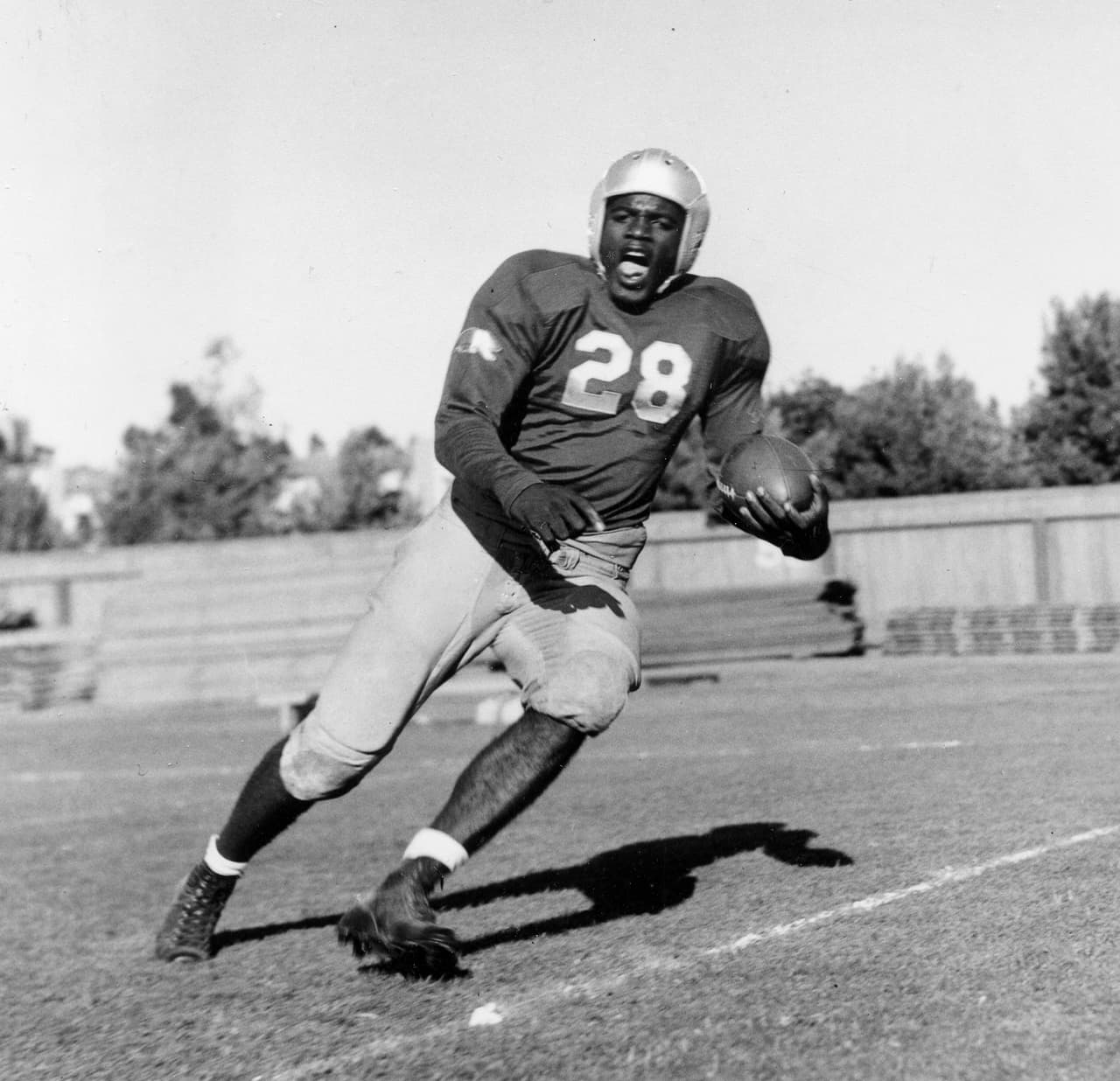 Jackie Robinson, antes de romper la barrera racial en el béisbol de las Mayores, jugó fútbol colegial en 1939 con la Universidad de California en Los Ángeles (UCLA).