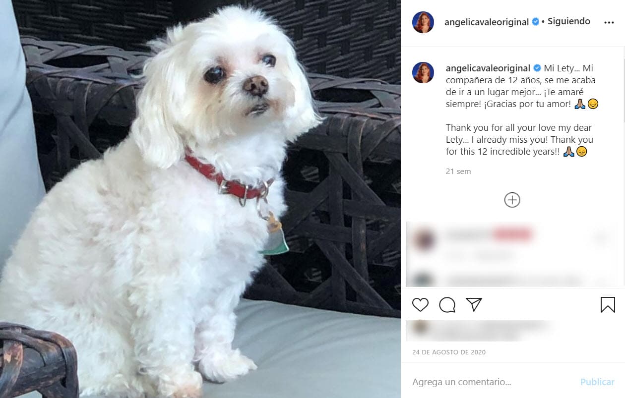 "Mi Lety... Mi compañera de 12 años, se me acaba de ir a un lugar mejor... ¡Te amaré siempre! ¡Gracias por tu amor!", escribió en Instagram.
<br>