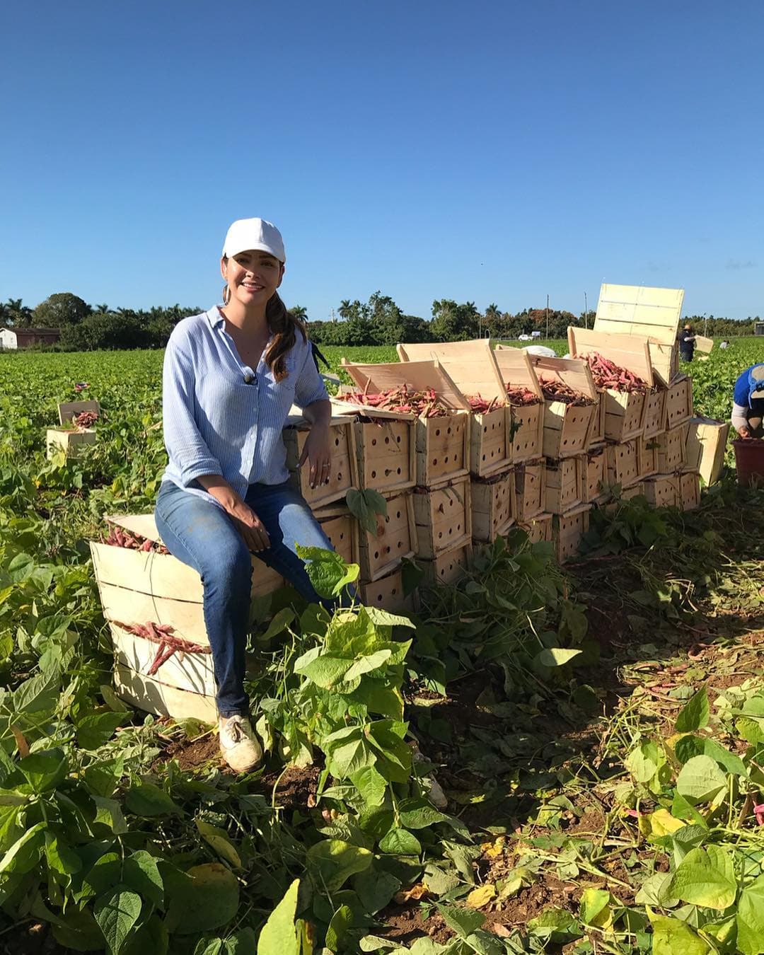 Al regresar de la gira del show, Ana visitó los campos de la pizca de frijol donde conoció y presentó en una transmisión de Despierta América las historias de los trabajadores que luchan por una mejor calidad de vida para sus familias.
<br>