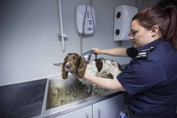 En el 2008 uno de ellos encontró mas de 500 libras de cocaína