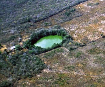 ¡¿Es un Tiranosaurio Rex?! Al menos lo era hace unos 
<b>66 millones</b> antes de que un asteroide de unos 
<b>14 kilómetros de diámetro</b> cayera en lo que hoy conocemos como la Península de Yucatán en México y acabara con los dinosaurios. 
<b>Chicxulub</b> es el cráter más grande del mundo con
<b> 2.5 kilómetros de profundidad y más de 200 kilómetros de diámetro</b>. Pero todo indica que este asteroide no llegó solo a la Tierra, hace poco descubrieron 
<b>otro cráter </b>de la misma edad a unos 
<b>300 metros de profundidad</b> en el lecho marino cerca de 
<b>África</b>.