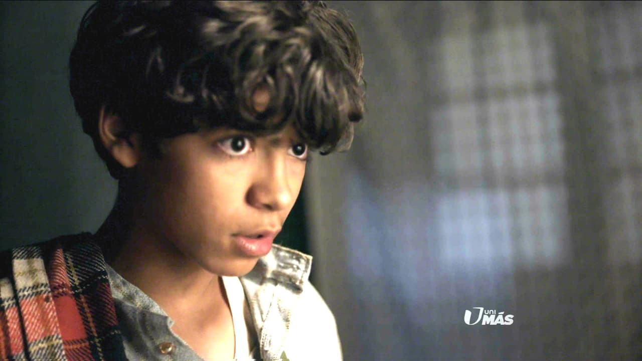 Y no tuvo más remedio que confesarle a su hermano que le entregaron las semillas a Arcadio.