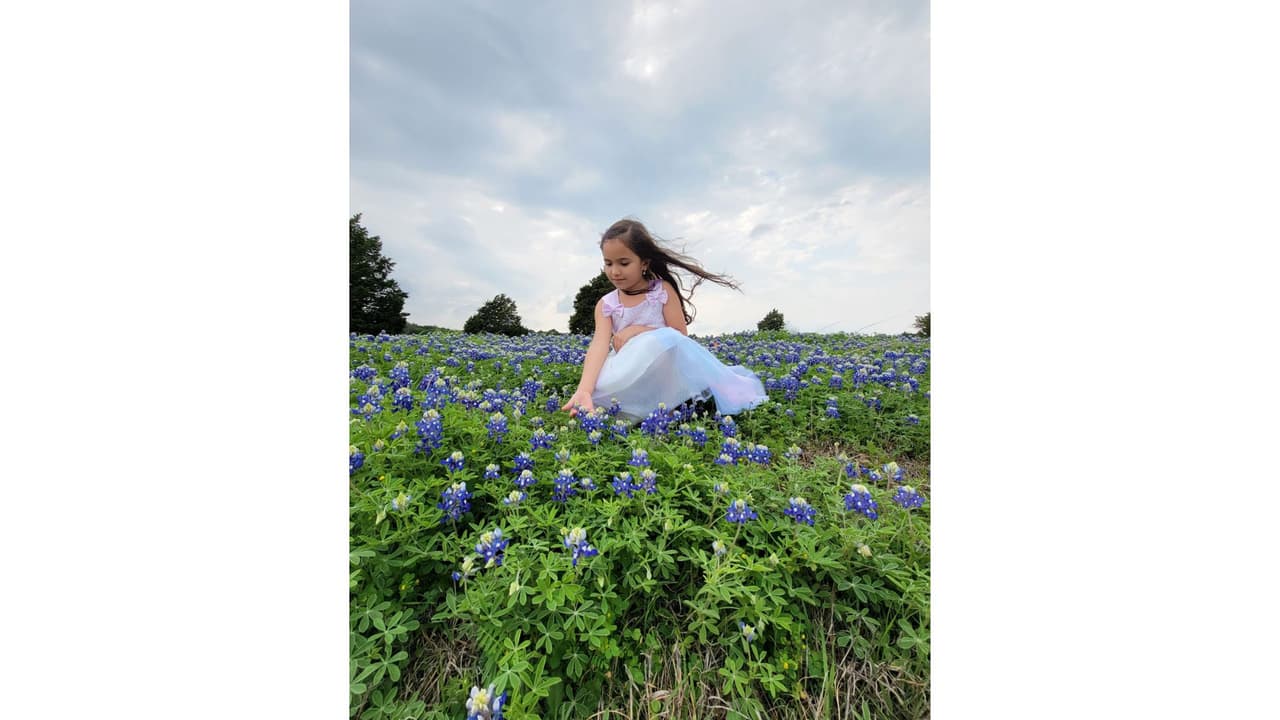 Y no olvidamos los senderos citadinos que están entre las autopistas, como en esta fotografía que nos envió Brenda Corona en la US-67 en Cedar Hill.