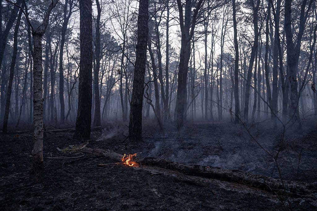 Helicópteros y equipos terrestres trabajan en conjunto para combatir el incendio.