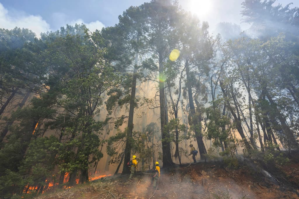 Este lunes 29 de julio, el oeste de Estados Unidos vuelve a enfrentar altas temperaturas y clima seco, lo que amenaza las labores de contención.