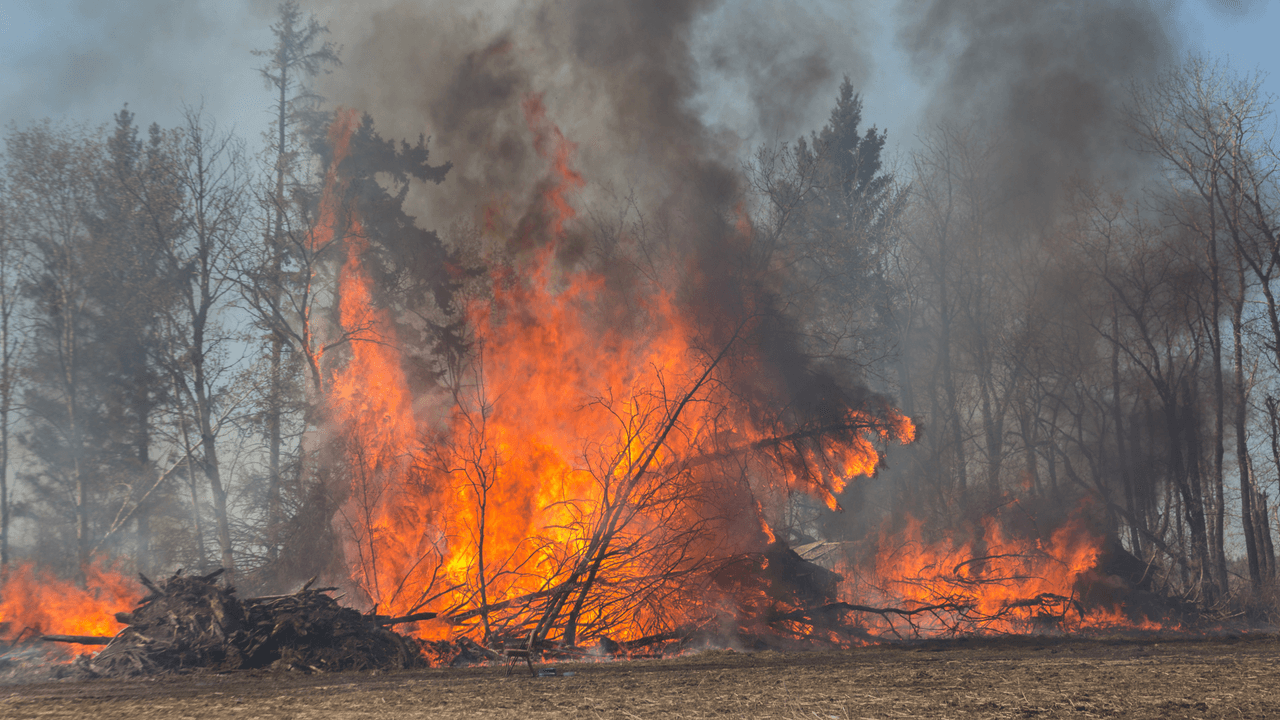 <h2 class="cms-H2-H2">Objetos que podrías llevar si el tiempo te lo permite</h2>
<br>
<br>- Computadoras o hard drives
<br>- Cargadores de teléfonos celulares
<br>- Fotos familiares y otros documentos irremplazables
<br>- Cosas de valor que no representen una gran carga