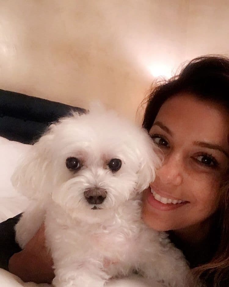 Jinxy es el lindo perrito de Eva Longoria, que la acompaña a todas partes: al trabajo, en sus descansos, en sus entrevistas.