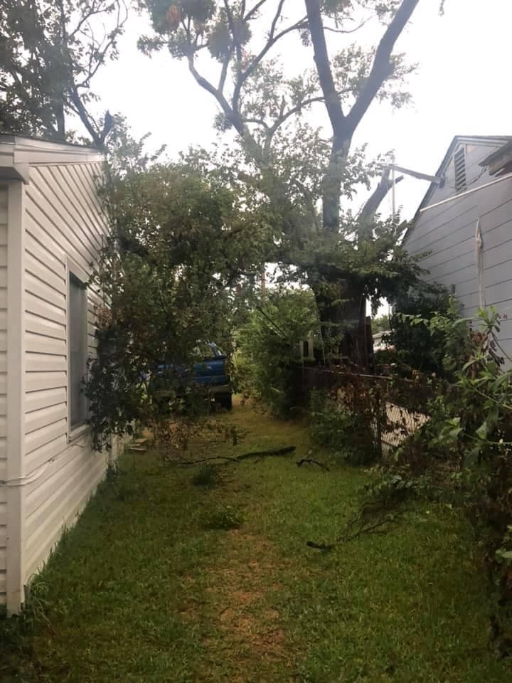 Santa además señaló que el árbol que se cayó no está en su casa, donde vive rentada, sino en la de los vecinos, quienes hasta hoy no le han dado respuesta. Ella ha tenido que correr con todos los gastos.