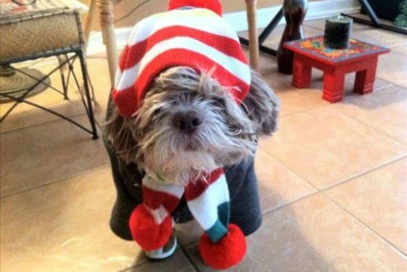 Gorro y pompones para salir a jugar en la nieve. (Foto tomada de Twitter).