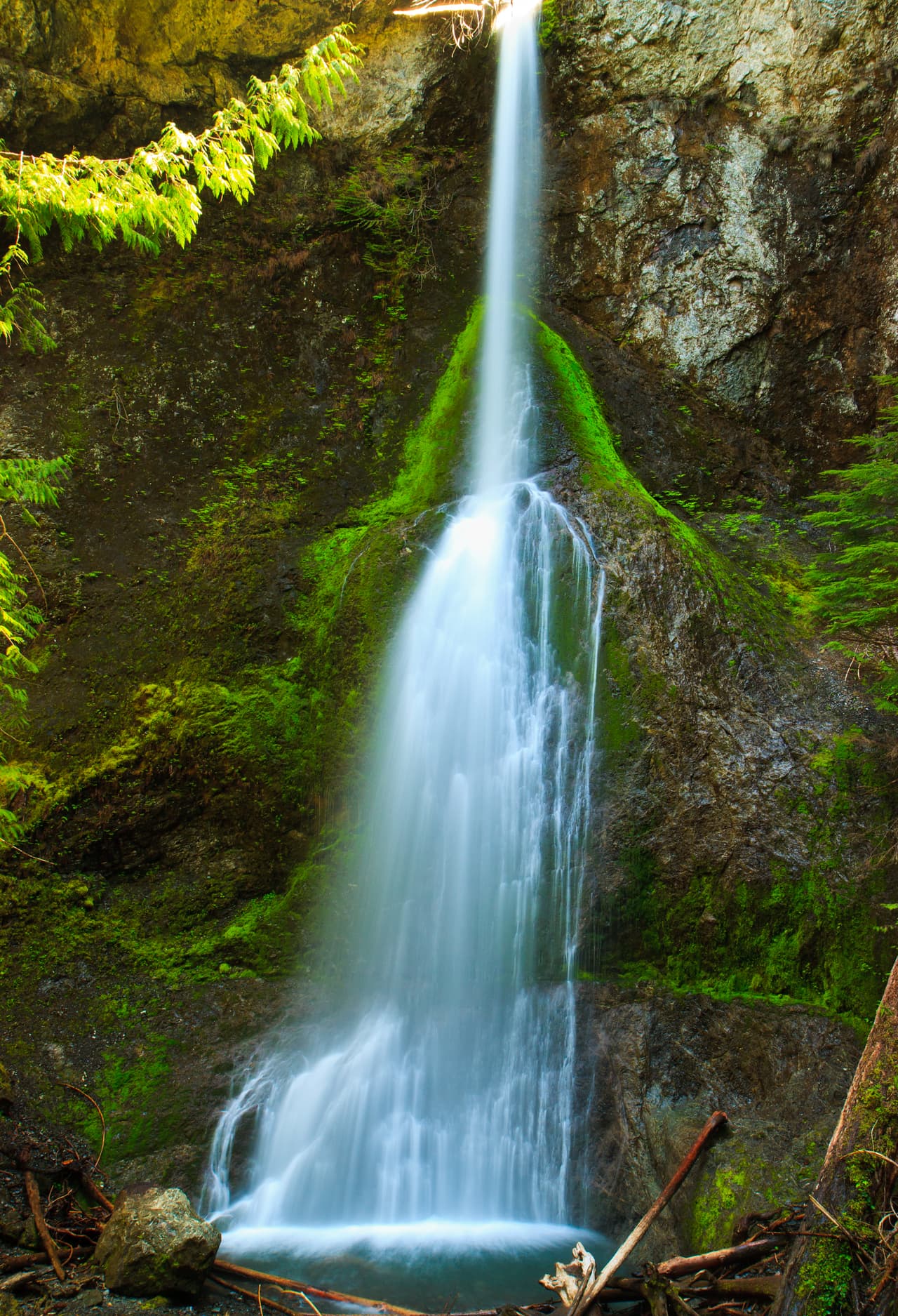 Parque Nacional Olympic (Washington State): aquí encontrará playas del Océano Pacífico, valles de bosque pluvial, picos coronados con glaciares y una impresionante variedad de plantas y animales.