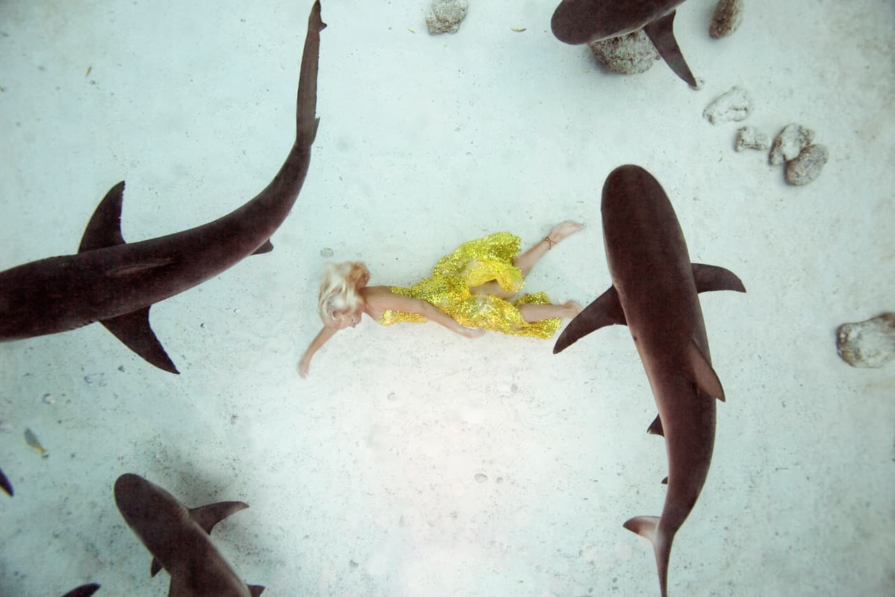 Es uno de los trabajos más peligrosos y espectaculares del mundo.