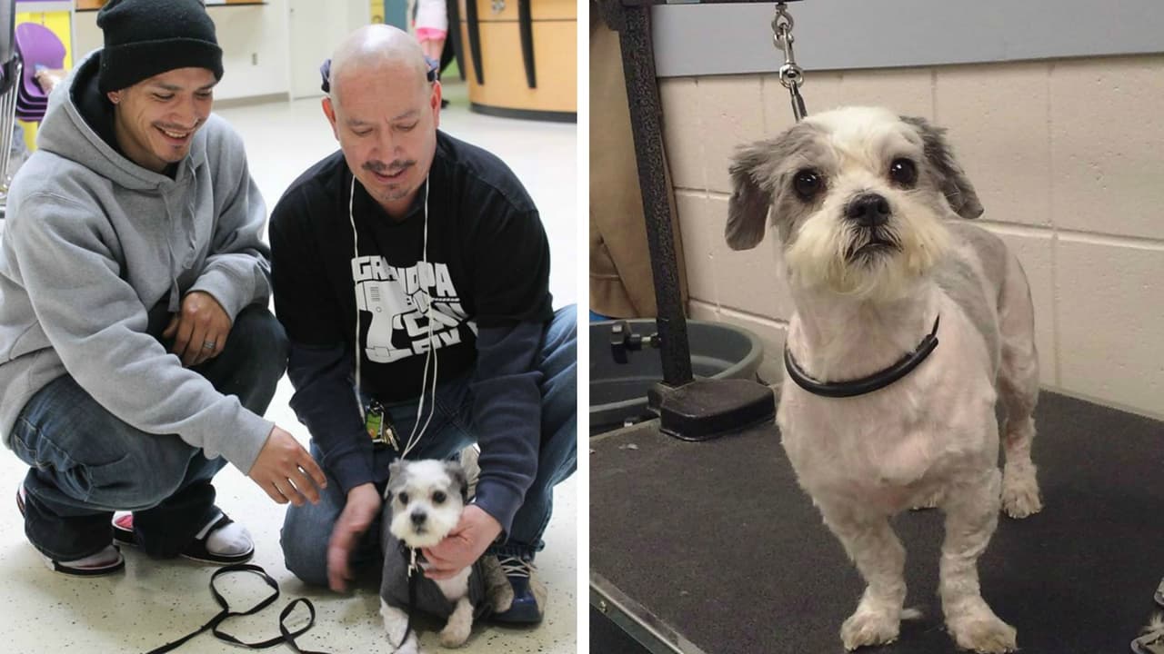 Después de tres años, familia de Aurora recupera a su perrita desaparecida