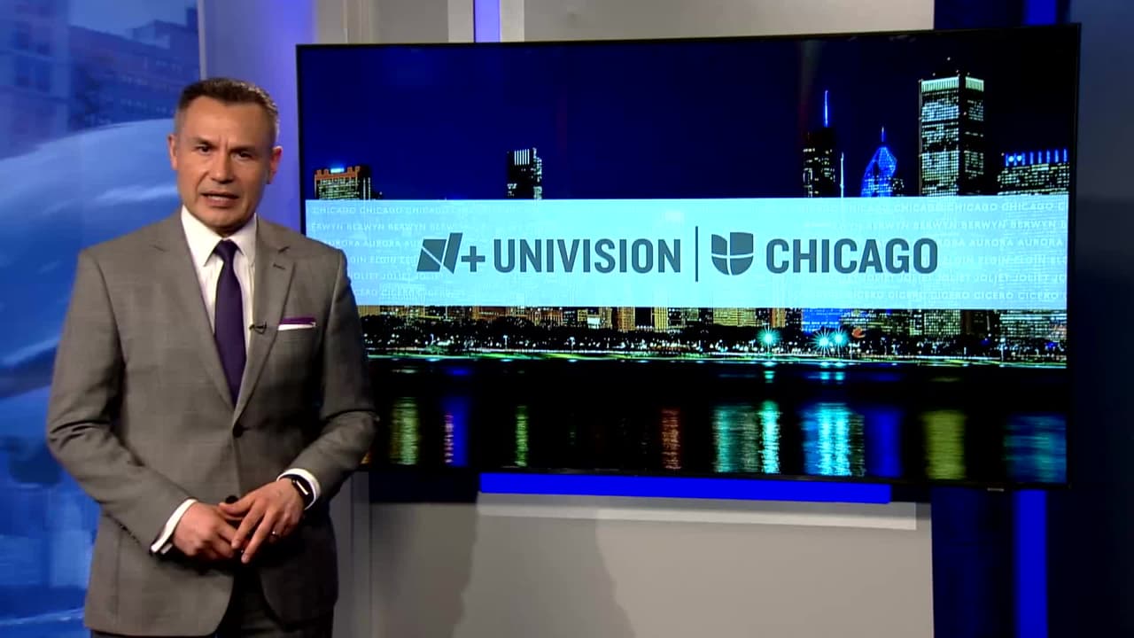 Exigen nuevo director del Departamento de Control y Cuidado de Animales de Chicago