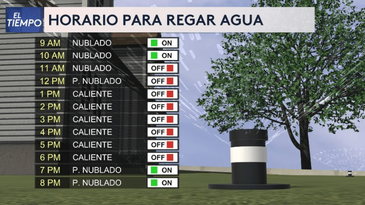 No riegues tus plantas a estas horas, porque el agua se va a evaporar debido a lo caliente.