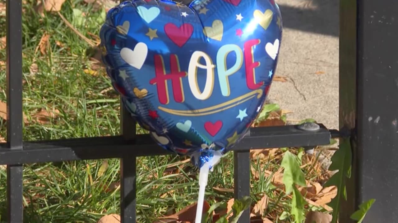 Identifican al niño de 7 años muerto por una bala perdida en Humboldt Park