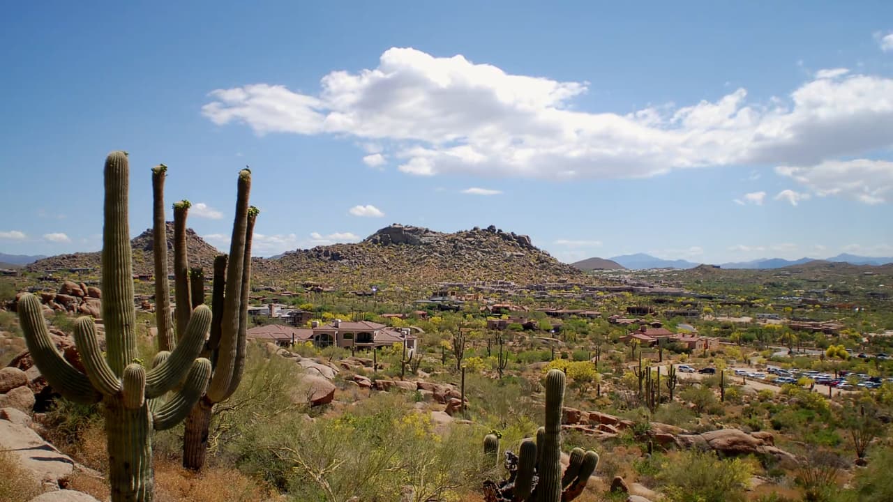 Encuentran 26 cuerpos de presuntos inmigrantes en desierto de Arizona en lo que va de 2022