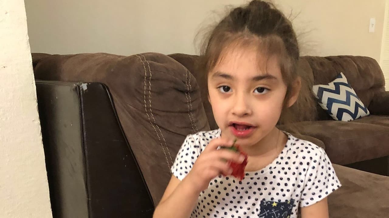 "Estamos tranquilos porque tenemos sus restos": así recuperaron el cuerpo de la niña arrastrada por un río en California